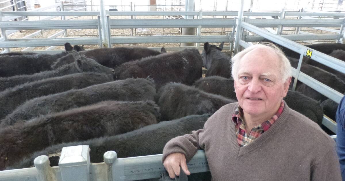 Neil Page held first pen honours in the annual spring sale of Greenwood Livestock sale. This was an Auction Plus interface sale, and Neil's first three pens were purchased over the system. Neil's 76 yearling Angus steers sold to $1810.