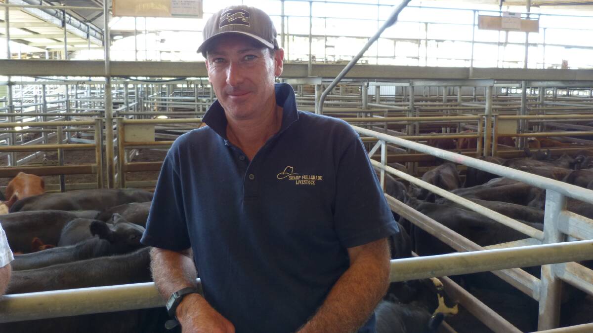 Derrick Faithfull, Orbost, sold cattle early at Bairnsdale last week.