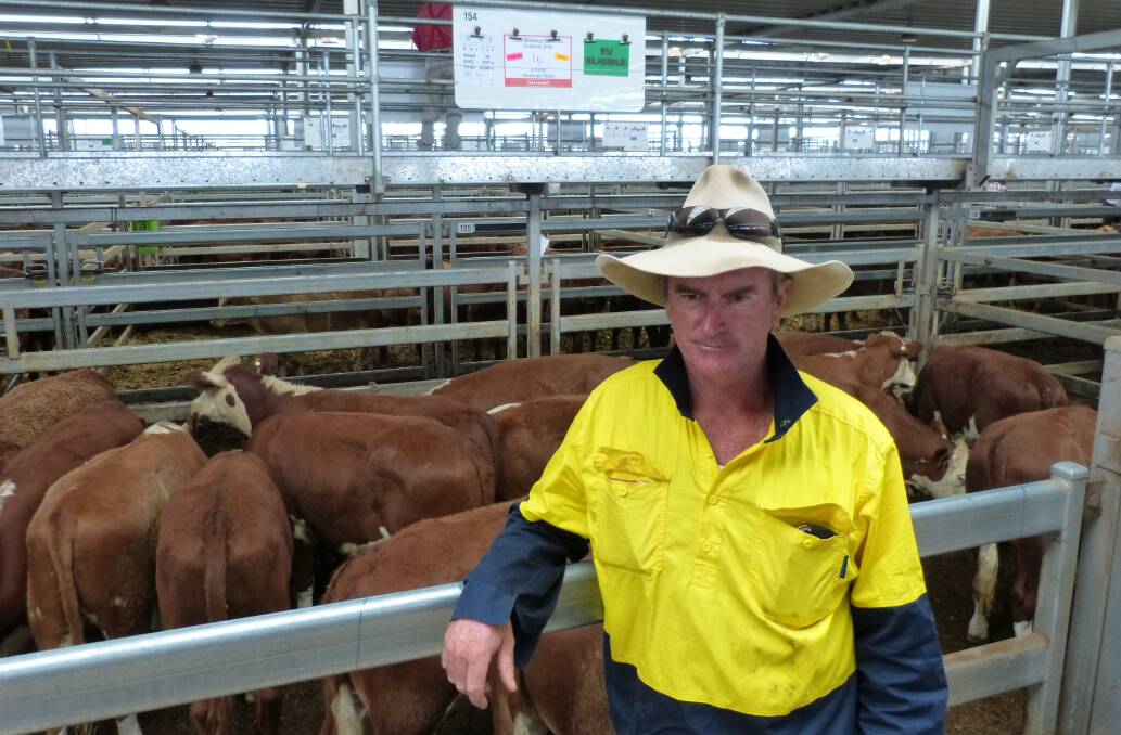 Jed Taylor, "Little Billabong Station", Holbrook, sold these 16 Hereford steers for $1190 at Wodonga, Thursday. Earlier in the sale, Jed sold 21 cows and calves to $1920.