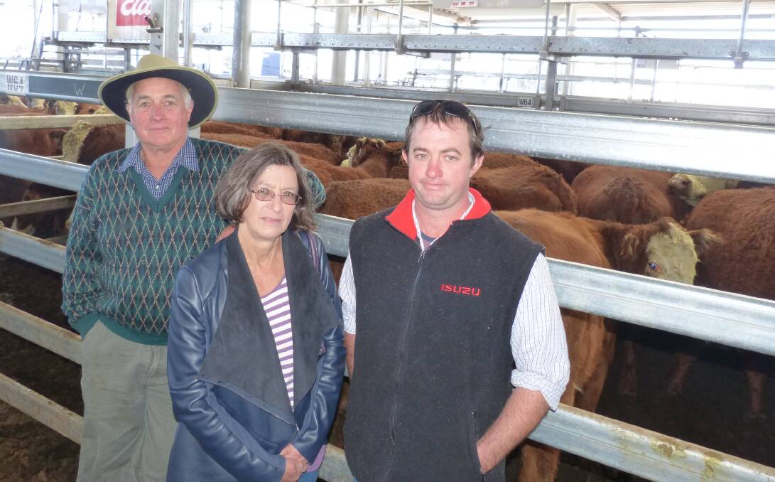 Harry and Sue Ryder with son Phill, who now runs the farm at Tawonga. Behind are 20 Red Angus-Poll Hereford 2nd and 3rd calving cows that sold for $2180.