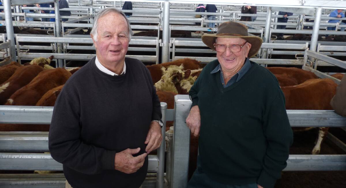 Dick Wigan and Ken Hodge, at Mortlake. Mr Hodge turned off steers earlier than normal, which sold to $1132/head.