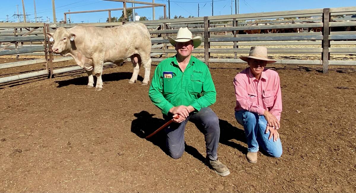 Vendor Roderick Binny with Scott Taylor, Elders, Winton, and the sale topper Taylor/Glenlea Quickdraw (P) which sold for $16,500 to David and Gayle East, Breedon, Longreach. 