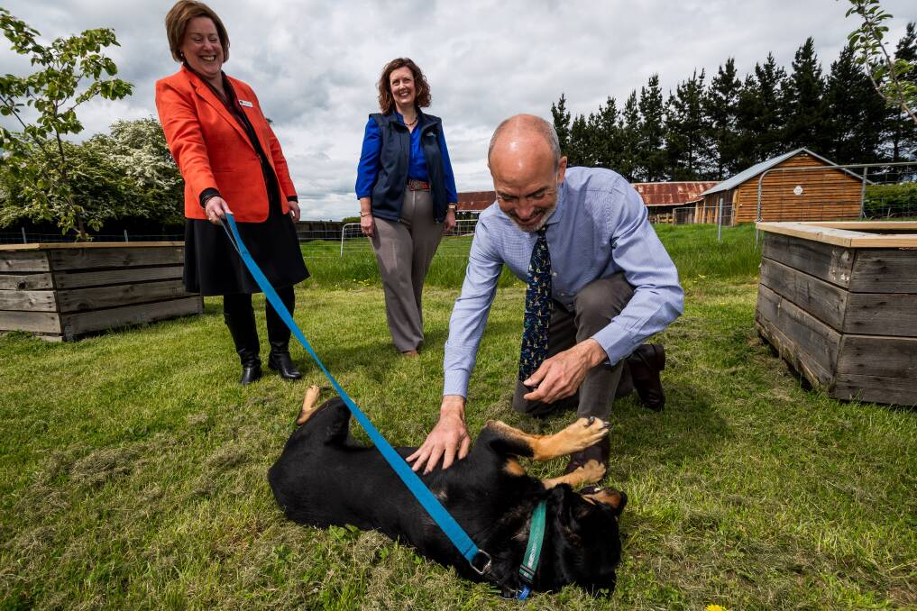 TAKING STAND: Primary Industries Minister Guy Barnett, with George the dog, and Tasmanian Women in Agriculture Emeritus chair Belinda Hazel and Rural Business Tasmania chief executive Elizabeth Skirving. Picture: Phillip Biggs