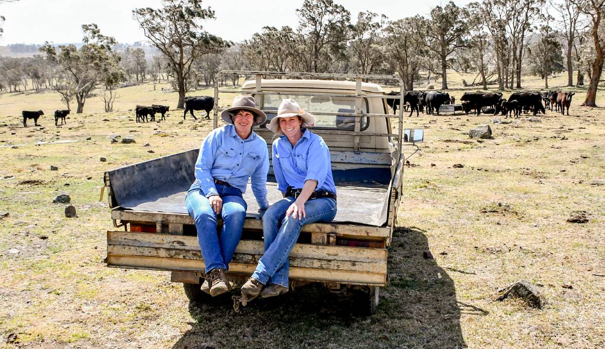 Joanne and Tracey Gowen at their property Argyll near Walcha with some of their Angus breeders. Photos: Lucy Kinbacher