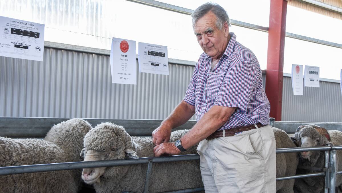 Will Allen, Denholm Green Pastoral, Hexham, and the $7000 top-priced ram. 