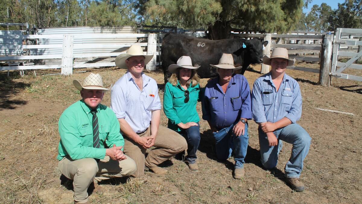 Nutrien auctioneer Colby Ede, Toowoomba, Ed Bradley, Hazeldean, NSW, buyers Leigh and Steven Phelps, Wilga View, Jackson and Jack Hannah, GDL, Roma with the $17,000 top-priced bull, Hazeldean P656.