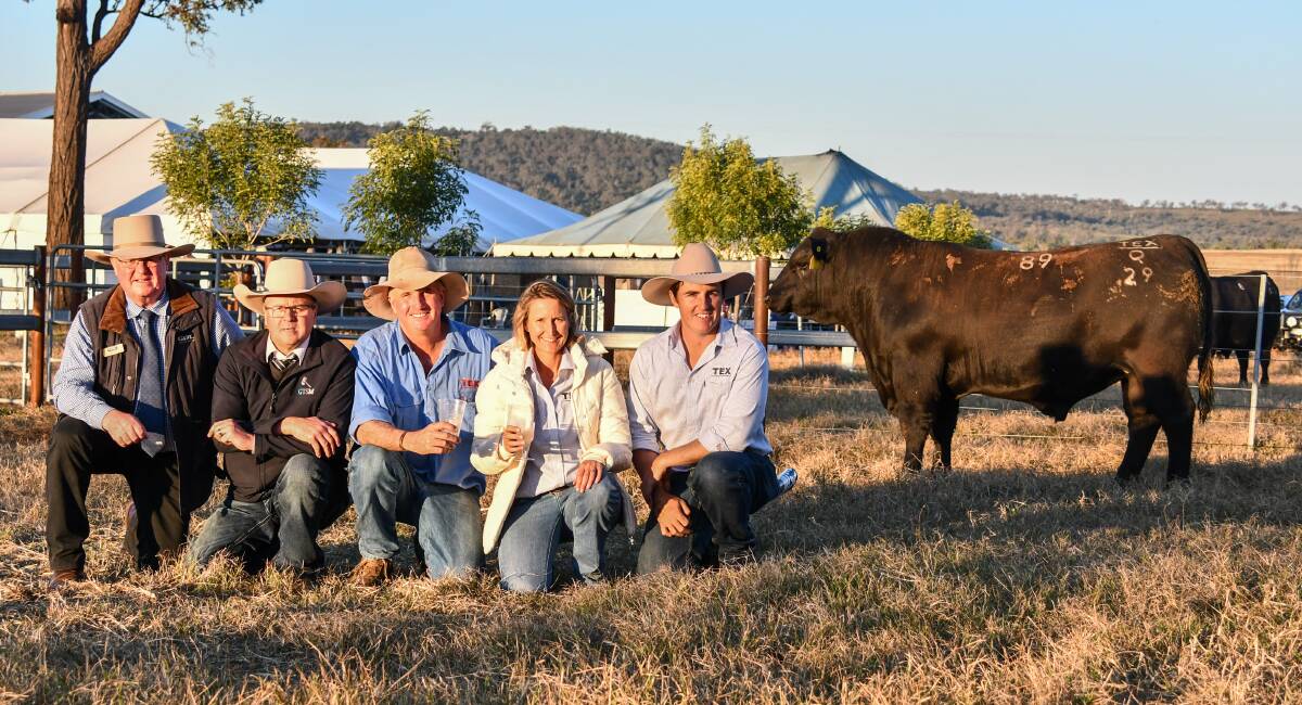 The second top price bull at $42,000 was purchased by Little Meadows, Dardenup, Western Australia. Pictured is GDL's Harvey Weyman-Jones, GTSM auctioneer Michael Glasser, vendors Ben and Wendy Mayne and Texas cattle overseer Hayden Chappel. 