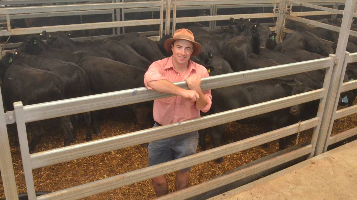 Elders agent Brett Shea with the best presented heifer pen on the second day of the annual Wodonga weaner sales. The 20 Angus heifers of Table Top and Fernhill blood weighed an average 326kg and sold for $815 each for Graham and Christine Anderson, Friendship, Indigo Valley. Photo by Mark Griggs.