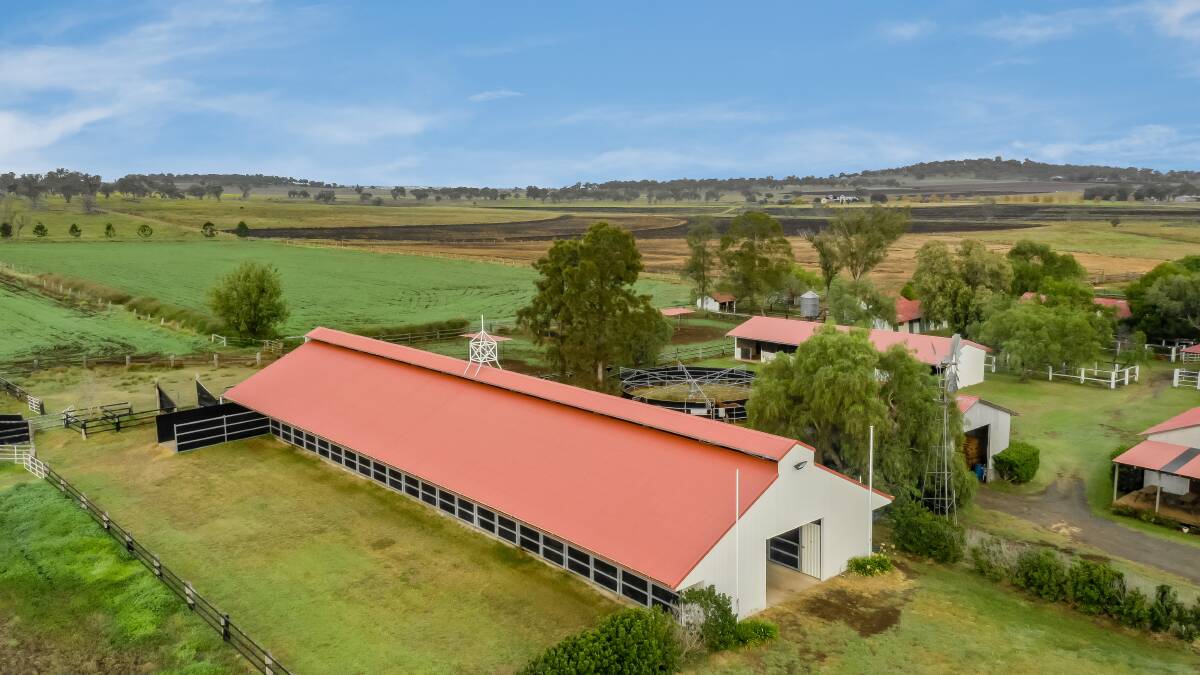 Wattle Brae races to auction | Video