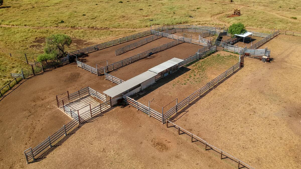 Prospect Park has a very good set of steel cattle yards in a handy position to the bitumen road. 