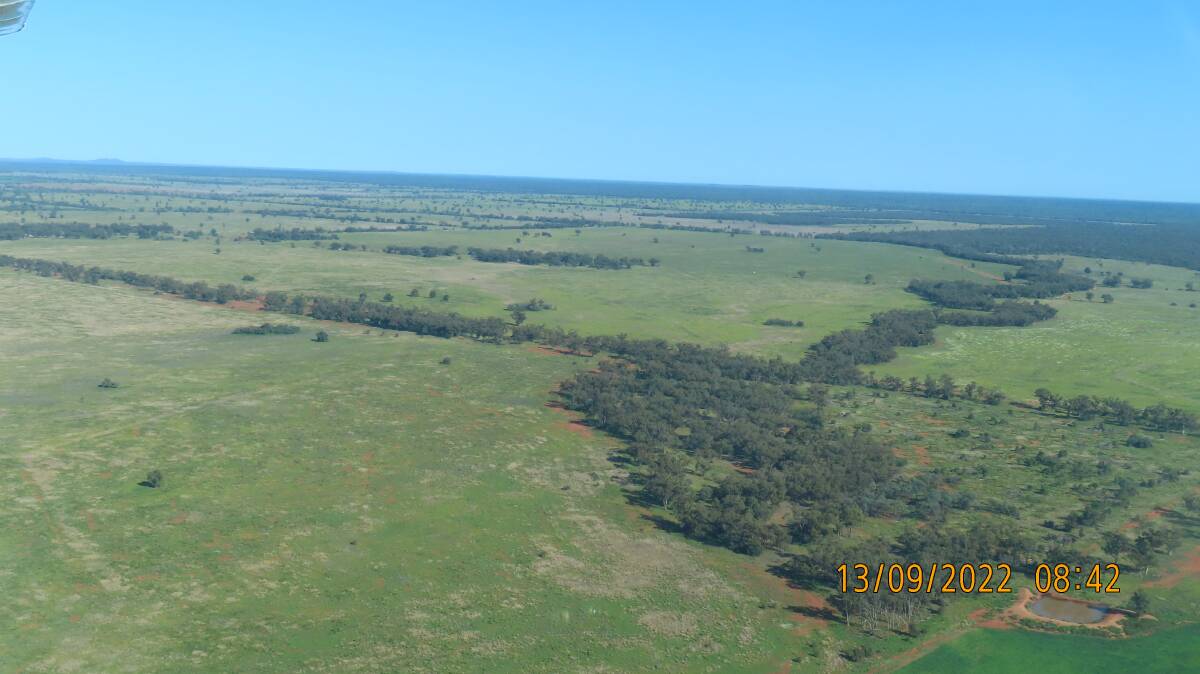 Budgery is 4012 hectares of generally flat red loam soil grazing country with the potential for farming.