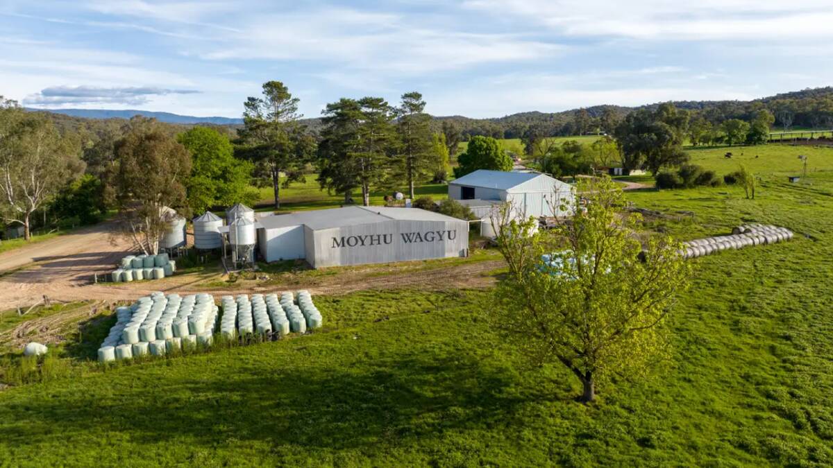The productive farms have been the home of the renowned Moyhu Wagyu cow herd for almost 30 years.
