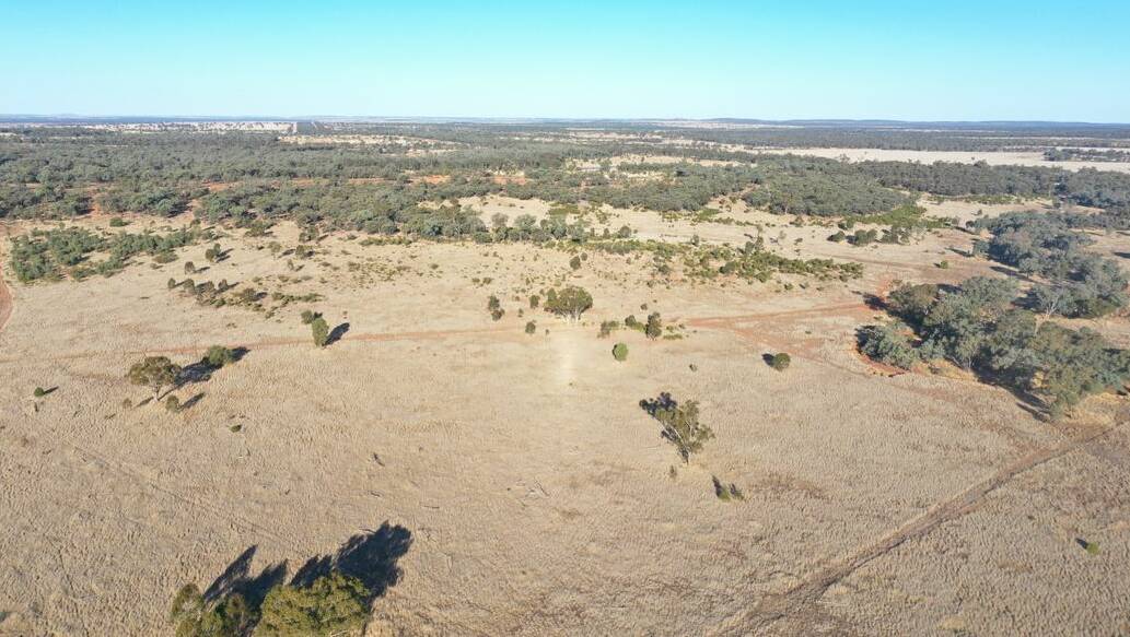 MAA Livestock and Property: Mitchell buffel grass property Scottsvale has sold at auction for $2.775 million.