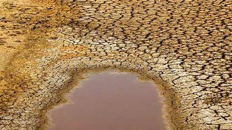 SOILS FOR LIFE: Drought relief efforts have been dismissed as simply being crisis management.