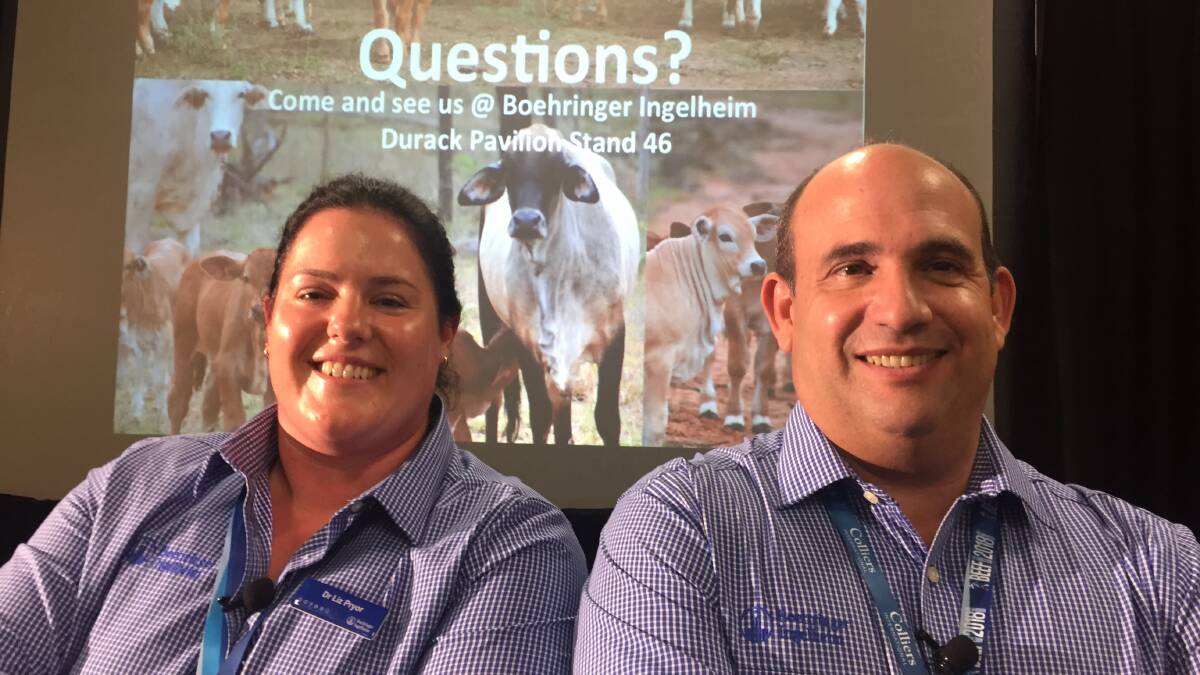 Dr Liz Pryor and Dr Lucas Cutaia from Boehringer Ingelheim says there is massive potential for fixed time AI in Australia's commercial cattle herd.