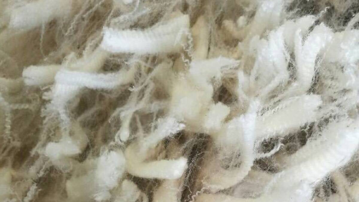 Naturally produced wool is under attack by vegans, who are encouraging the development fibre "visually, texturally, and functionally akin or superior to sheep's wool".