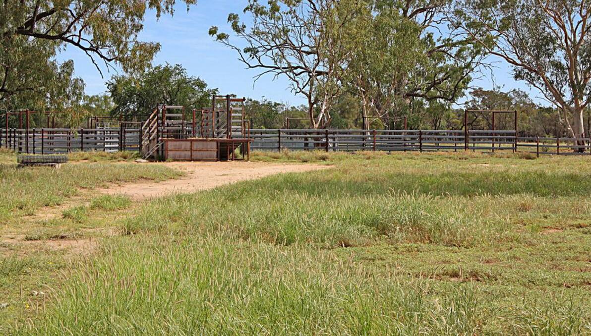 Barcaldine property The Patrick will be auctioned by Ruralco Property, GDL Real Estate on April 8.