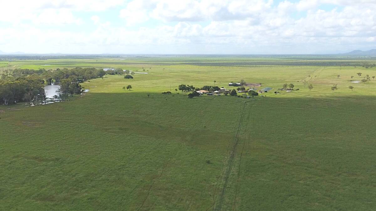 Inkerman Station is being offered for sale through Nutrien Harcourts Queensland Rural by an expressions of interest process, closing on July 8.