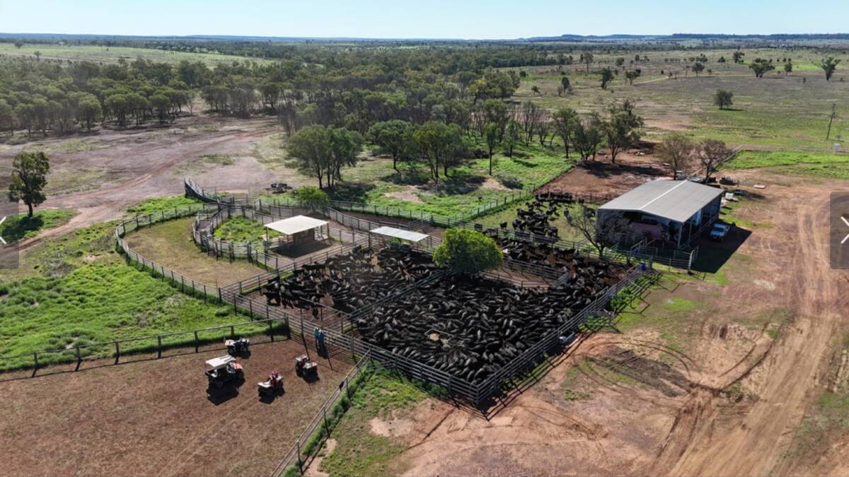 The steel cattle yards are equipped with a five way pound draft, undercover crush and calf cradle, loading ramp and dust suppression sprinklers. Picture supplied