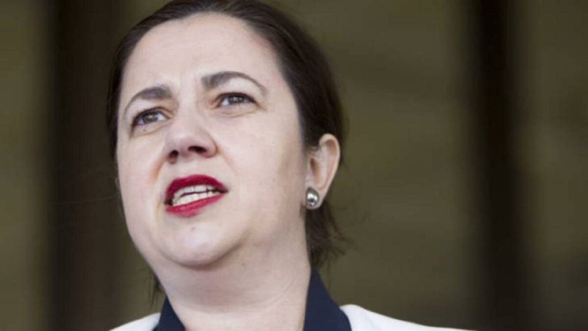 The LNP has written to Premier Annastacia Palaszczuk calling for a inquiry into Queensland’s bushfire prevention and preparedness activities.