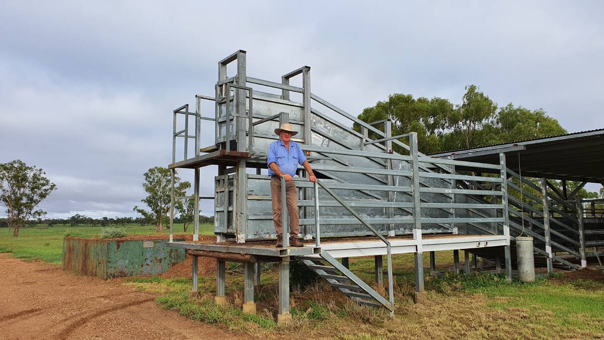 Bill Douglas with the impressive cattle yards on Mount Lonsdale.
