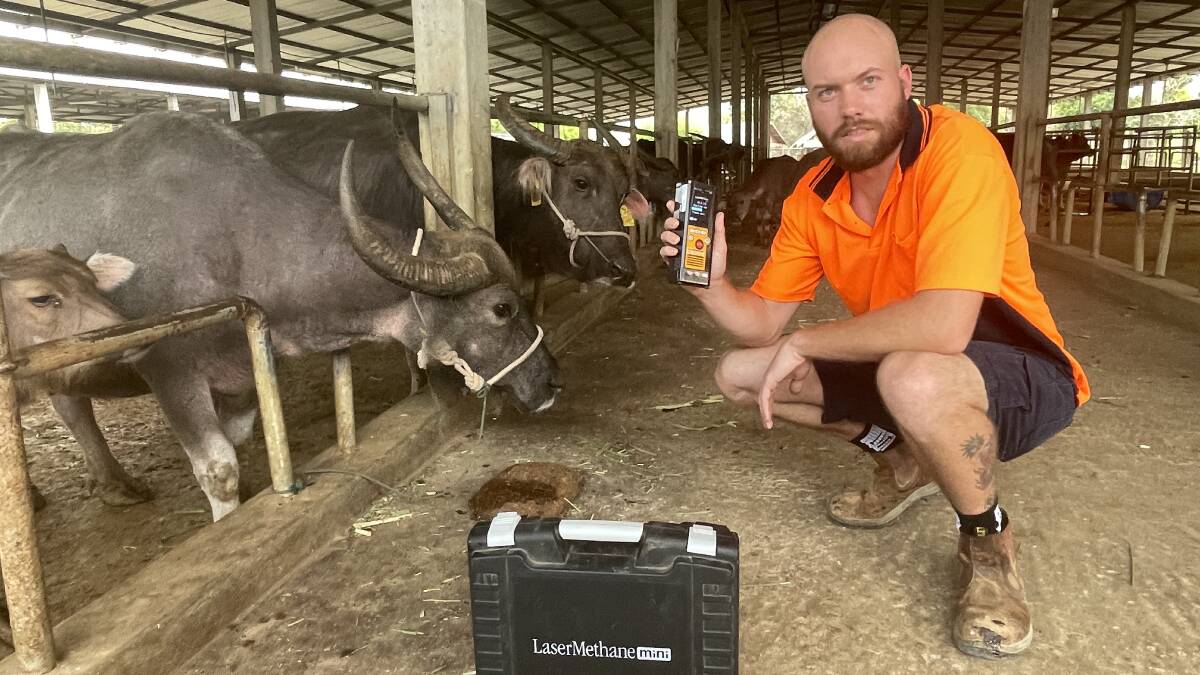 AgCoTech operations manager Daniel Olsson is measuring methane emissions from both buffalo and cattle in Laos using a hand held laser device. Picture - Mark Phelps 