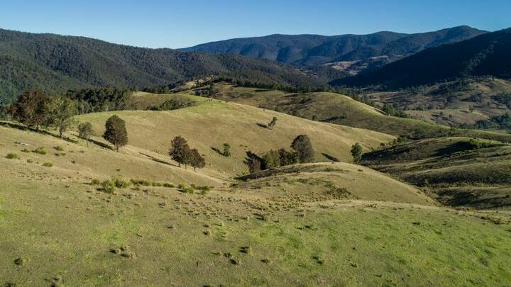 RAY WHITE RURAL: The 1457 hectare Upper Manning Valley property Tirrill was passed in at auction for $1.5 million.