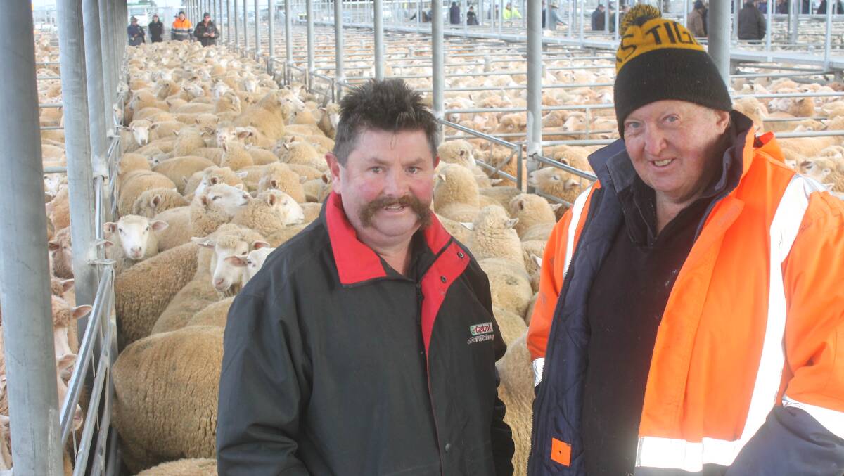 Andy Maher, Dean and Kevin "Cog" Maher, Springbank, scooped the pool with respective top prices of $267 and $263 a head for their lambs at Ballarat saleyards.