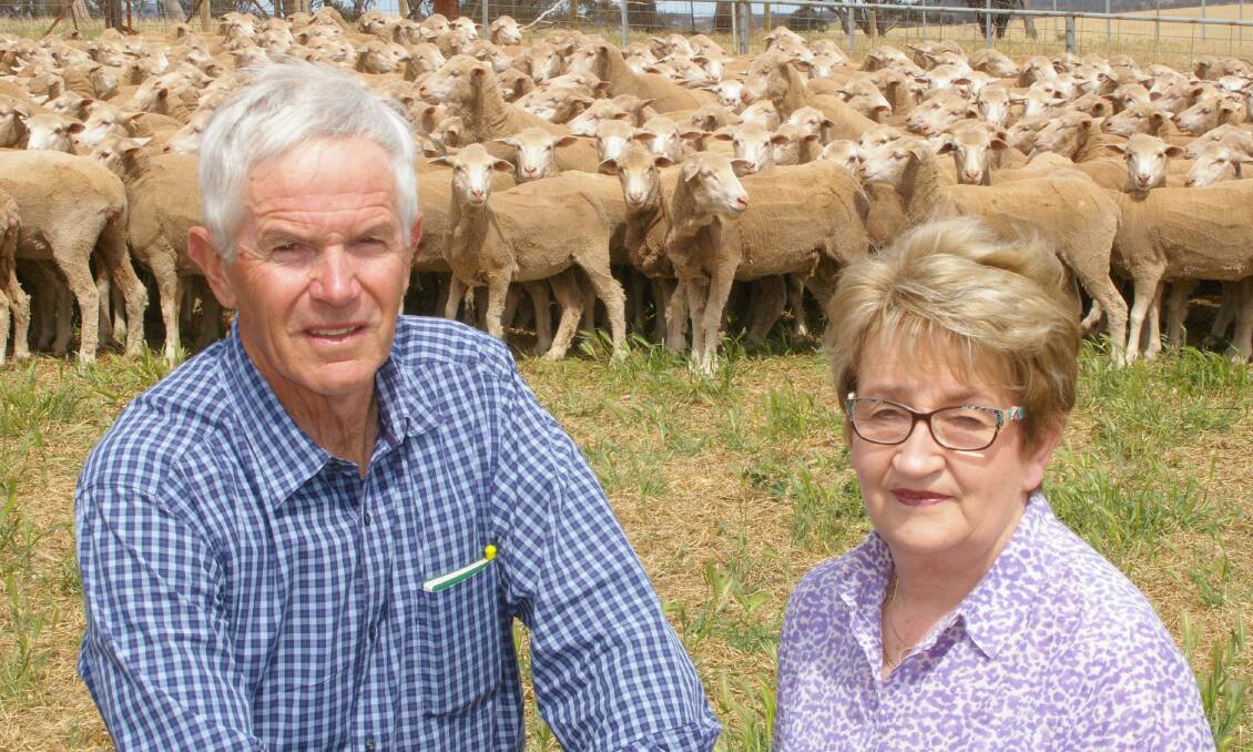 Bill and Faye Rodger, Tchuterr, Burkes Flat with their rising 2.5 year-old Banavie/Charinga-blood ewes being offered at Wycheproof