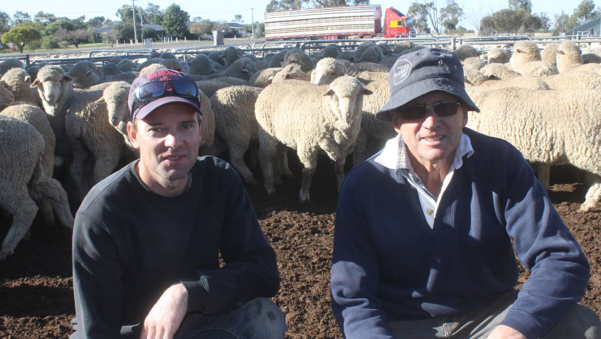 Greg Roberts and son Sam of Glenloth East sold their breeders line of November-shorn Woodpark-blood wether lambs June/July 17-drop at $166.