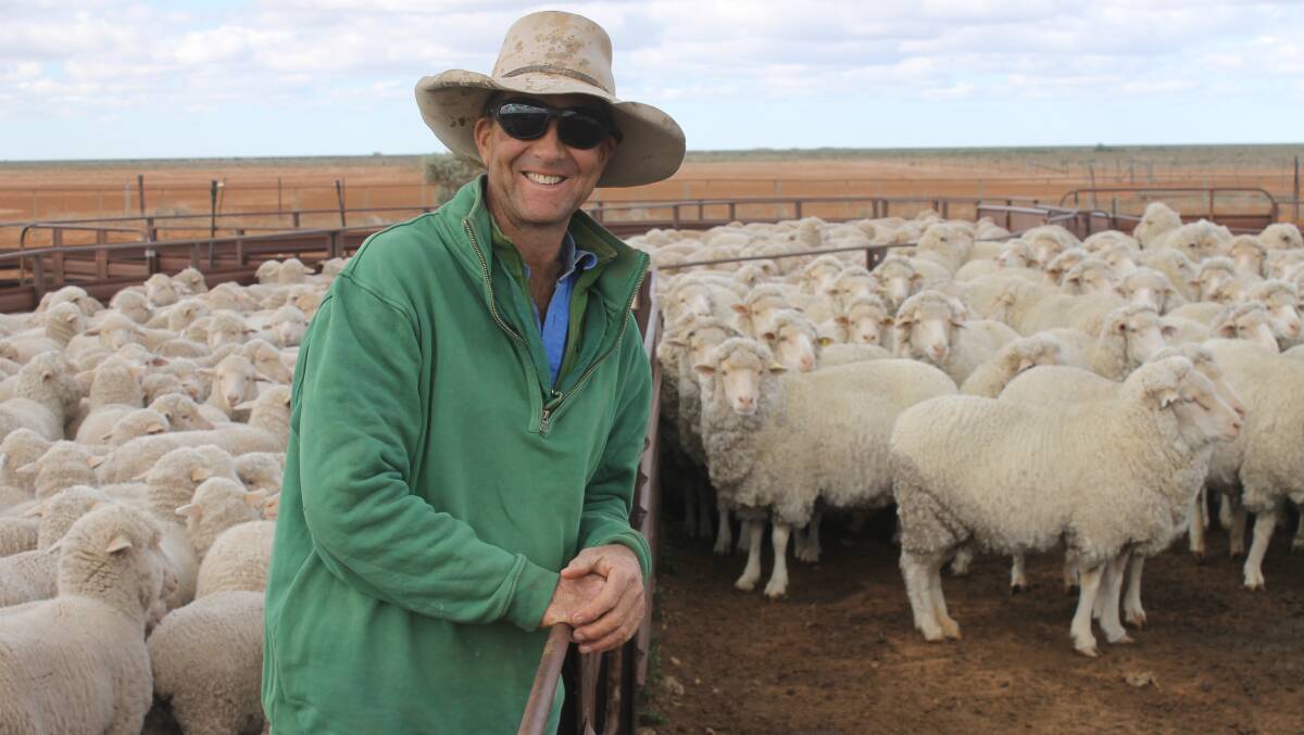 Bill Ryan has matched his Curragh bred sheep to suit western Riverina low rainfall, saltbush and native grass country, with Alma-bloodlines and recently rams from White River Merino Stud, on the western Eyre Penninsula, SA.