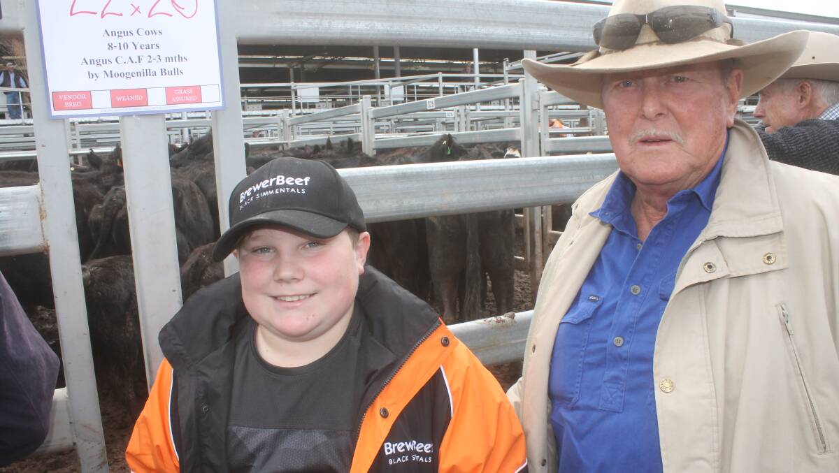A former meat processor buyer and northeast cattleman Allan Brewer, Koetong with his grandson, Austin, at the NVLX Barnawartha saleyards