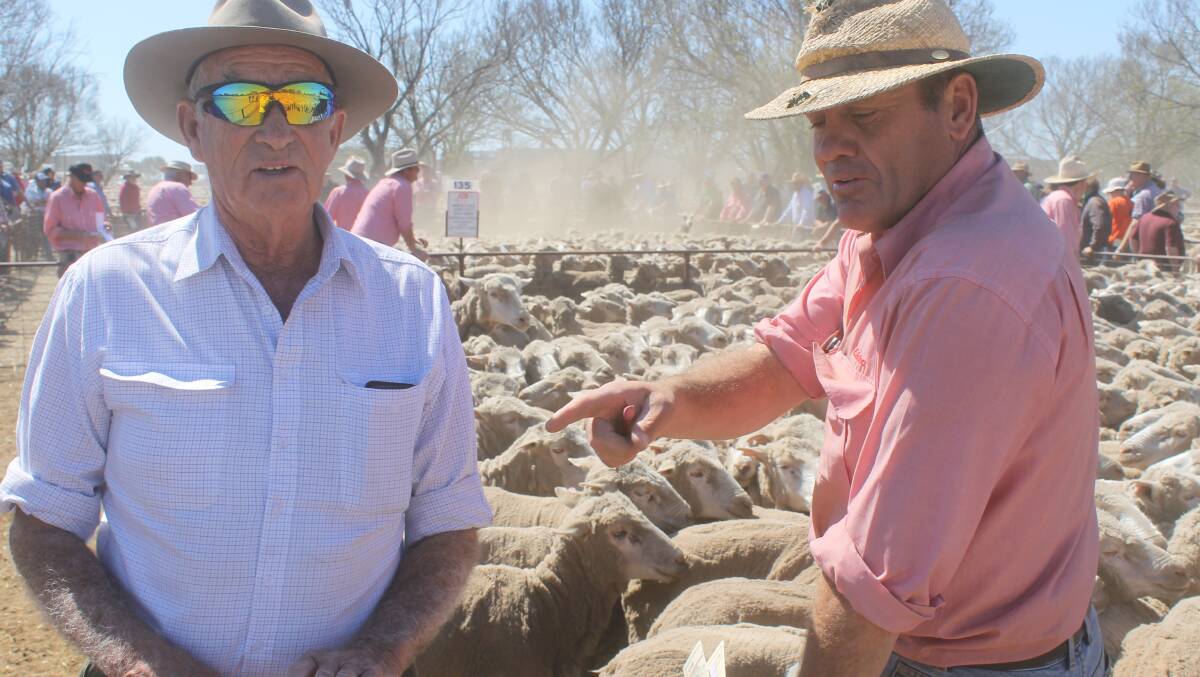Keith Buckingham, Jerilderie, with his agent Steve Grantham, Elders Corowa, purchase Merino ewes to join as a self-replacing flock.