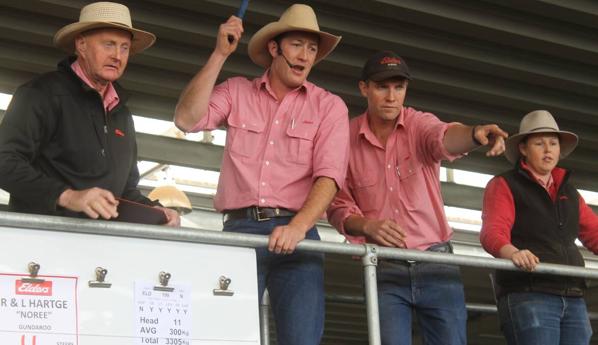 The Elders selling team of booking clerk, Stephen Street and auctioneers Oliver Mason and Matt Tinkler with Kirsty Taylor at NVLX Barnawartha. 