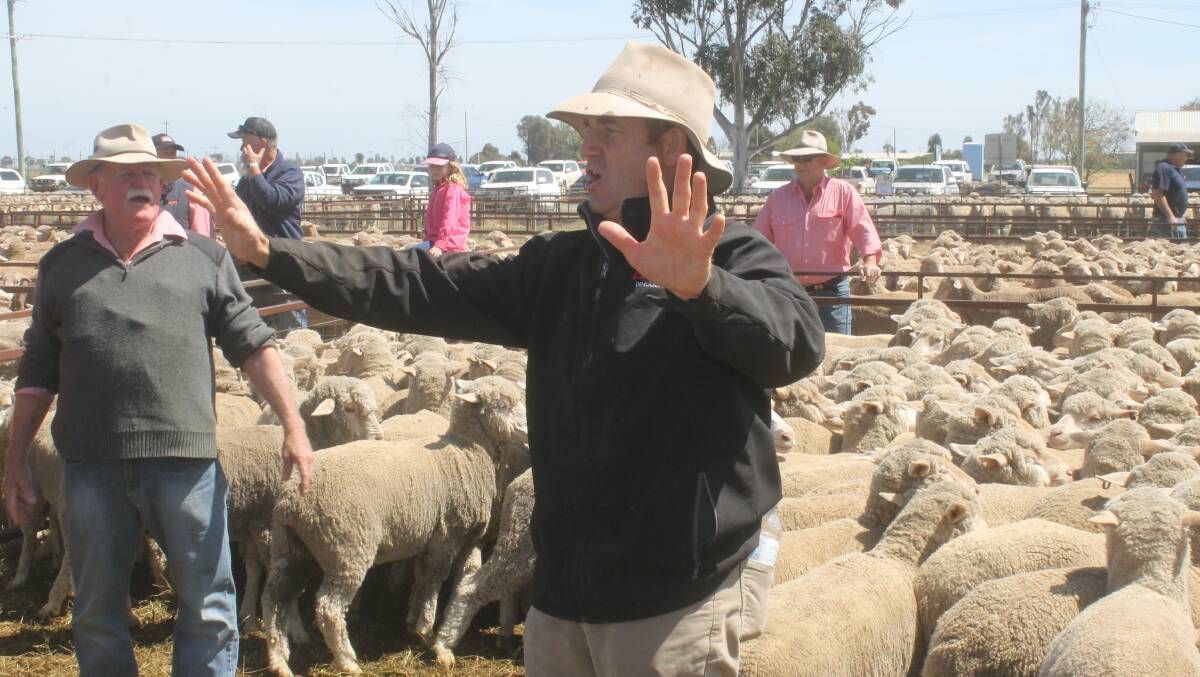 SALE STOPPED: Elders Riverina network has failed in its attempt to host a Jerilderie sheep sheep planned for next Friday, June 24.