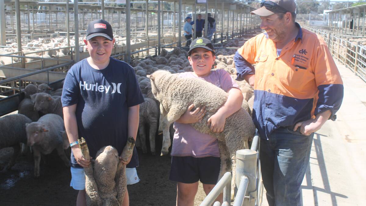 Andrew Woodham and sons, Jack and Max bought Merino and crossbred lambs to bad good a bad situation with failed crops at Axedale near Bendigo 