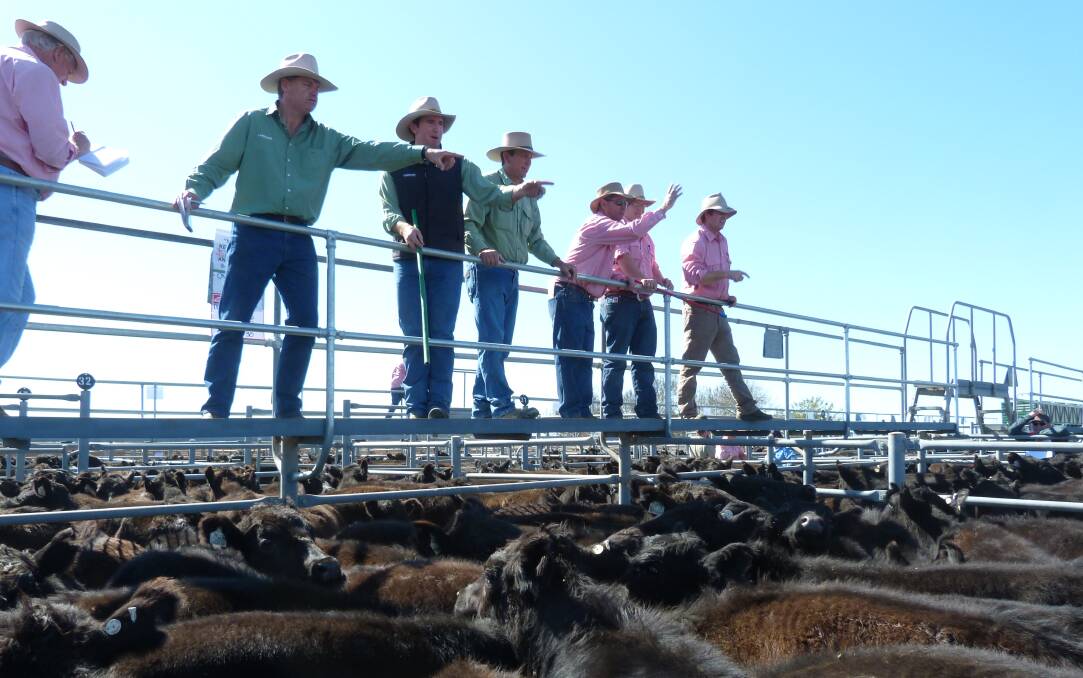File photo: 2014 Hay cattle sale