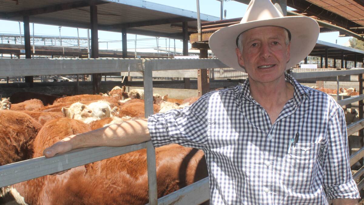 Yarram Park manager, Jeremy Upton purchased Yarram Park-blood Hereford heifers for a commercial breeding program in South Australia.