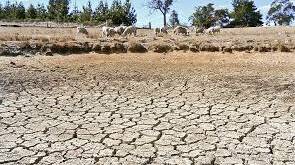 NSW Murray Region drought workshops
