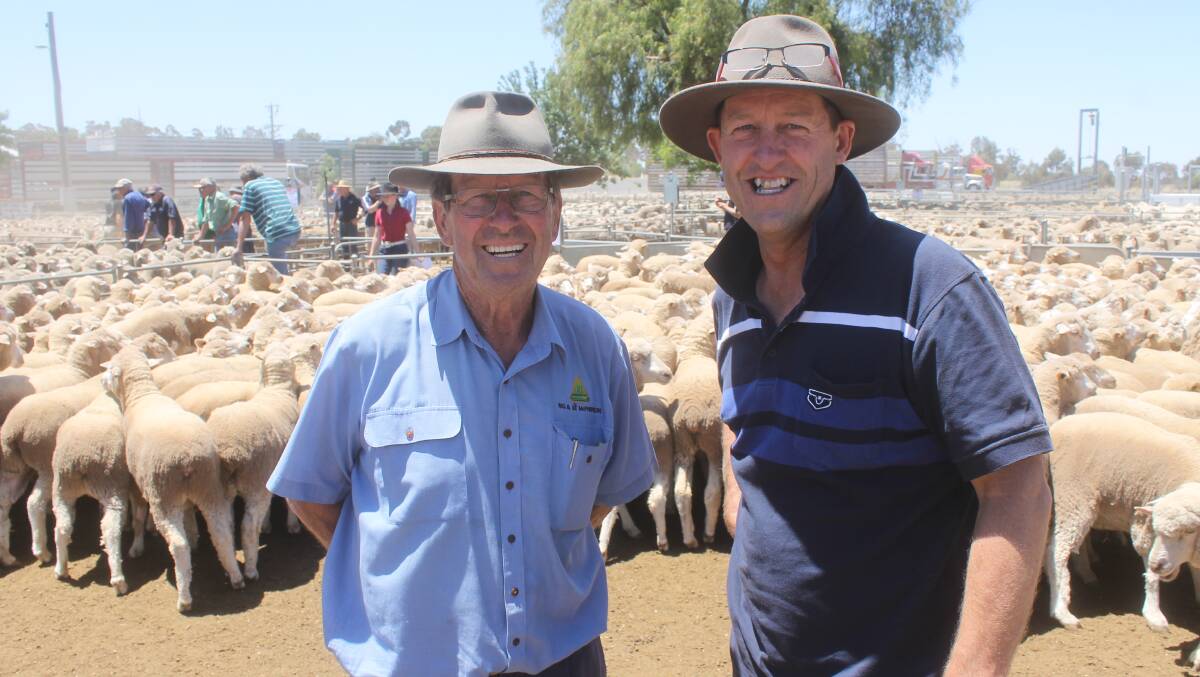 Southern Mallee cropper, Mark McPherson, with his father Wavell, were grateful for the recent heavy rain that soaked northwest Victoria. Mark farms at Brim and Wavell operates the Brim Rural store. They purchased Merino ewes last month at Wycheproof.