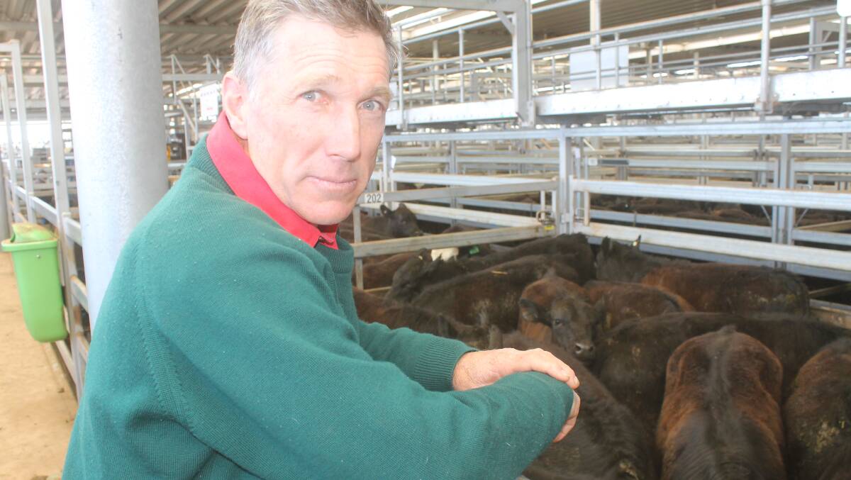 James Nicolson, Tallangatta Valley, achieved budget expectations with the sale of a pen of Angus-Simmental steers, 347kg, at $1045 at the Barnawartha sale