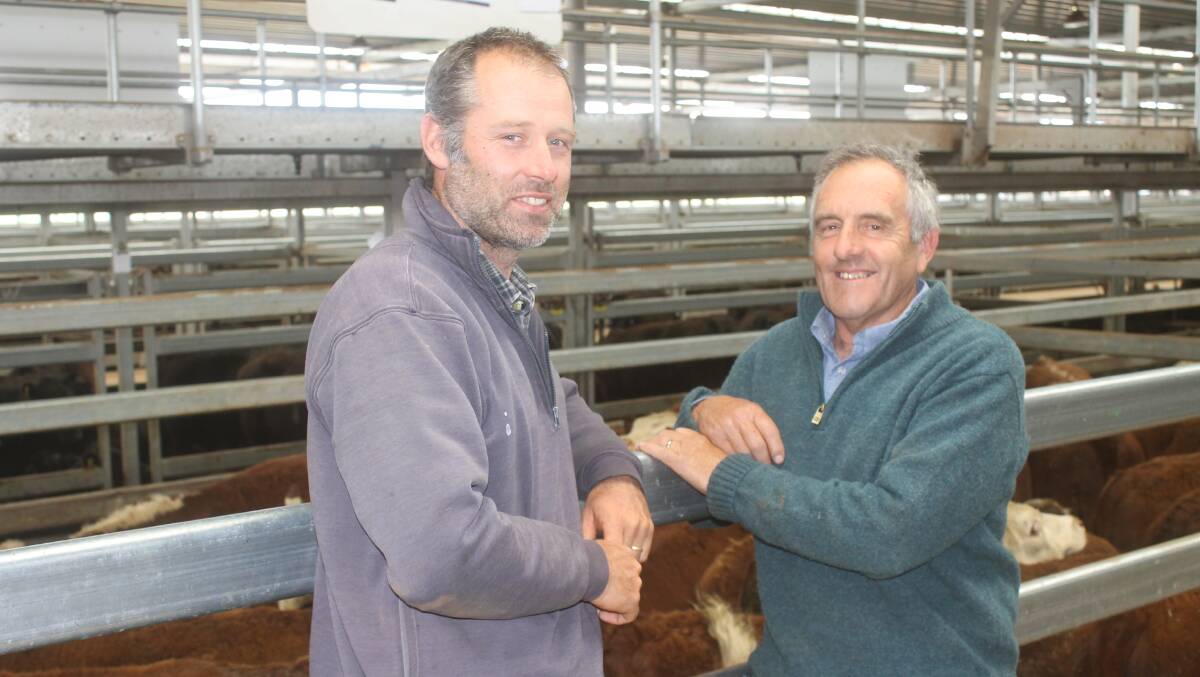 Michel Becks and Laurie Bullen sold a draft of Hereford steers steers from the Avenal-district property Booroola