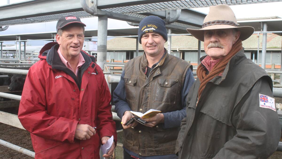 Tim Hill,  Elders Avoca with Ben Williams and Quentin Williams, Tanwood were volume sellers offering 150 head of mixed sex weaners.