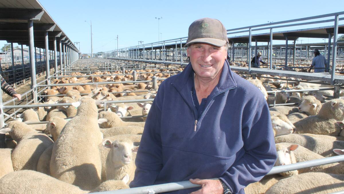 John Gervasoni, Smeaton, has not sold a sucker lamb in spring for the past five years, and this week topped Ballarat sales with his first draft of his June//July-drop Poll Dorset-cross priced at $240/head.