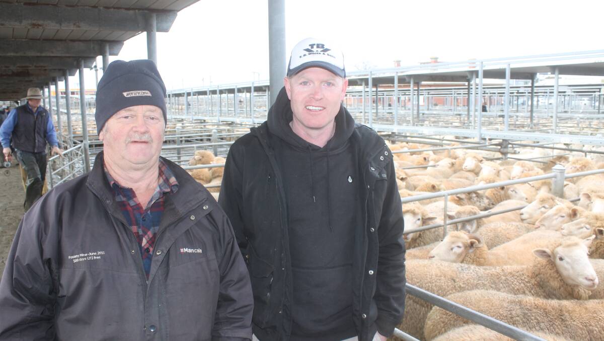 Neighbours in the Blowhard district, David Baird ($246/head) and James Sobie ($226/head each sold lambs at Ballarat. The market topped at $271 a head on Tuesday.