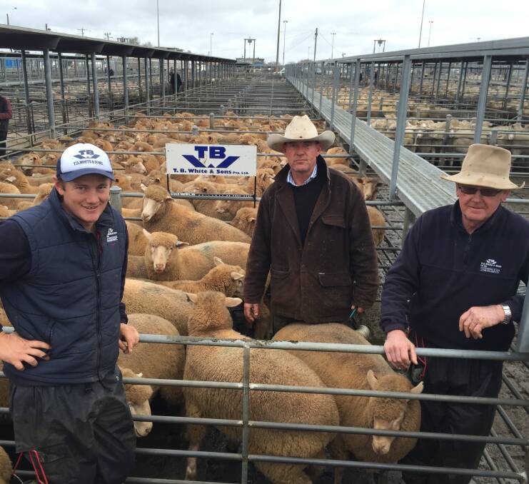 GONE: TB White & Sons' Xavier Bourke, James Gordon and Leo White, with KP Maher and Sons pen of 196 lambs sold which sold for $221 a head.