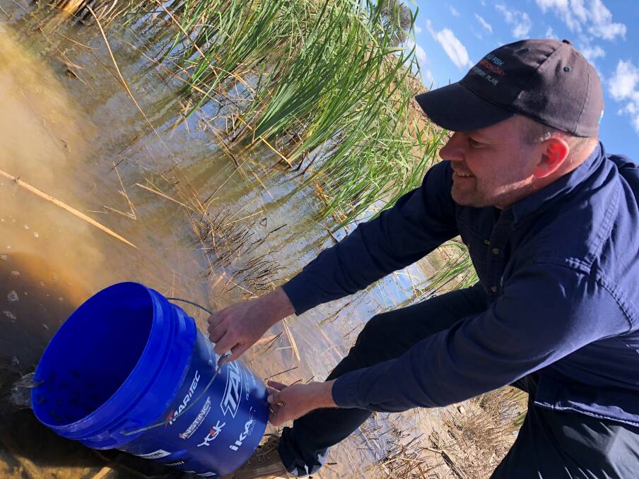North Central catchment management authority project manager Peter Rose releases gudgeon into Winton Wetlands on World Wetlands Day. Picture supplied