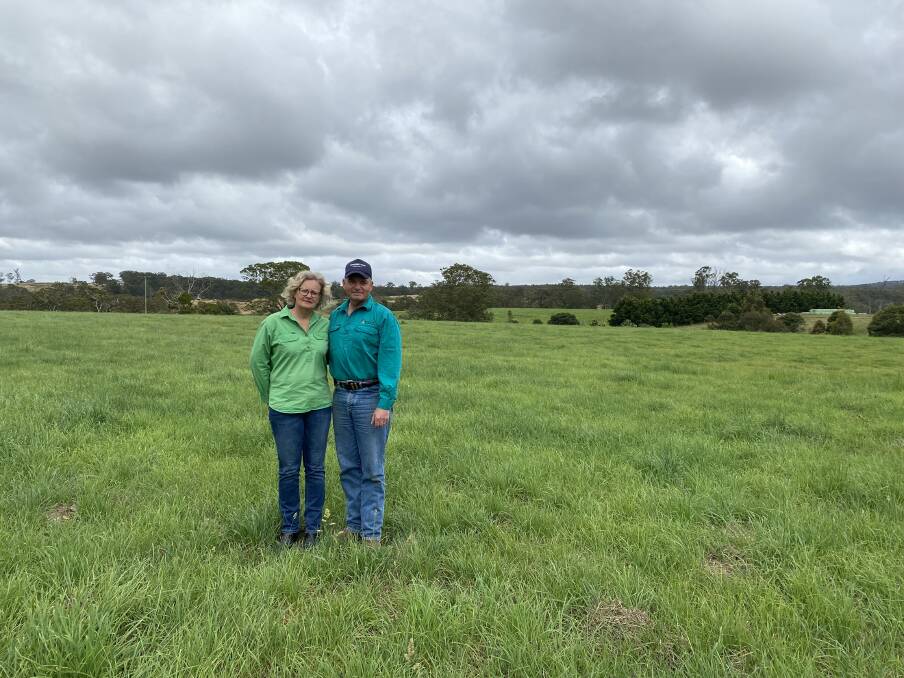 Sustainable focus: Melissa and Justin Ainsworth, 'Merriman Park' are growing sustainable pastures based on Savvy cocksfoot to prepare their farm for the future.